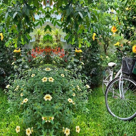 Star Garden Hoi Anアパートメント エクステリア 写真